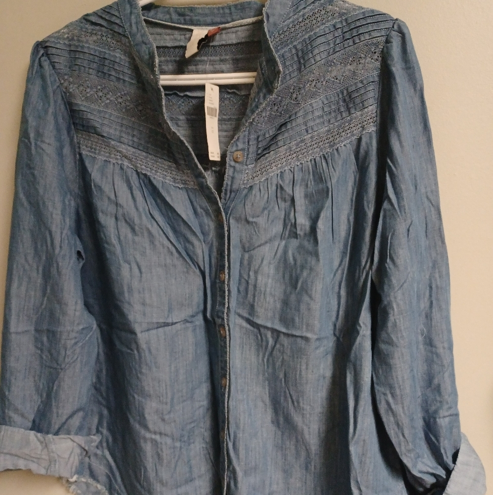 Anthropology top